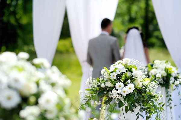 Iskra Vivaio Fidenza Vendita Piante e Fiori